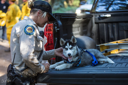 Entry image for Tundra. Clicking this image will show a larger photo