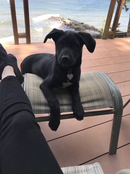 Entry image for Tuesday . Clicking this image will show a larger photo