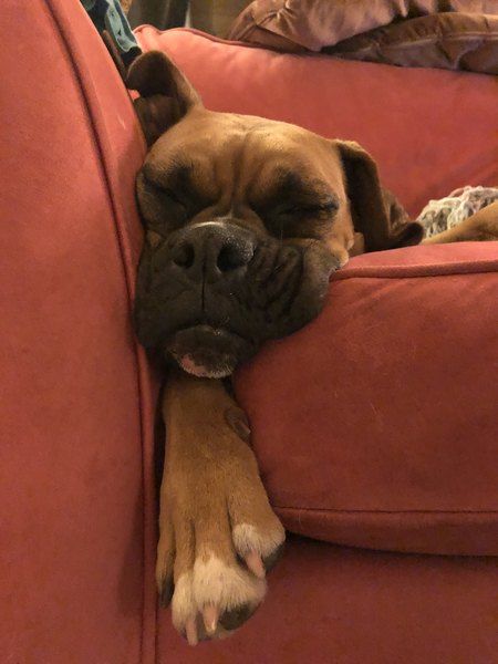 Entry image for Captain. Clicking this image will show a larger photo