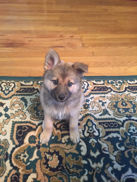 Entry image for Fanny. Clicking this image will show a larger photo