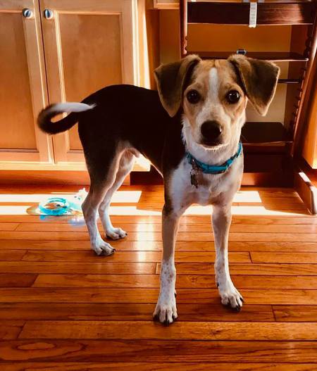 Entry image for Max. Clicking this image will show a larger photo