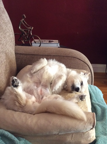 Entry image for Maggie. Clicking this image will show a larger photo