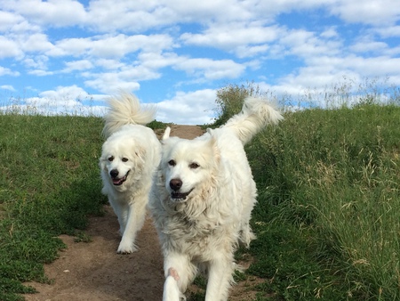 Sophie and Theo