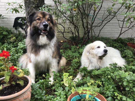 Oakley & Bonnie