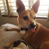 Entry image for Chiquita