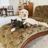 Entry image for Marcalene 