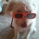 Entry image for Casper