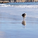 Entry image for Maverick