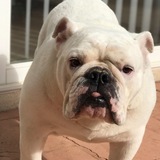 Entry image for Emmy