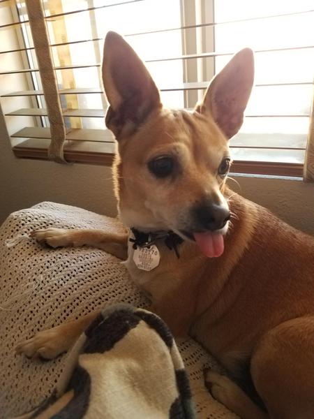 Entry image for Chiquita. Clicking this image will show a larger photo