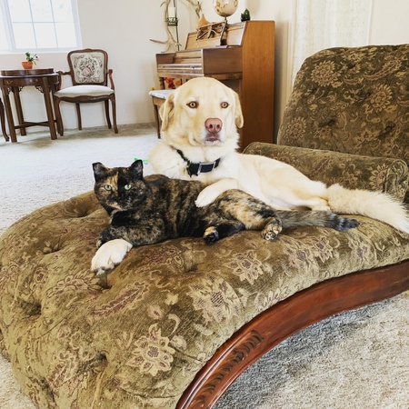 Entry image for Marcalene . Clicking this image will show a larger photo