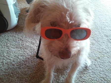 Entry image for Casper. Clicking this image will show a larger photo