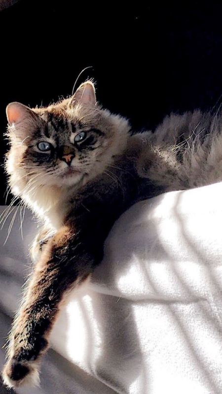 Entry image for Charlie. Clicking this image will show a larger photo