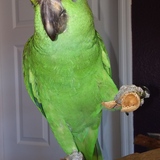 Entry image for Kizzy Reedy