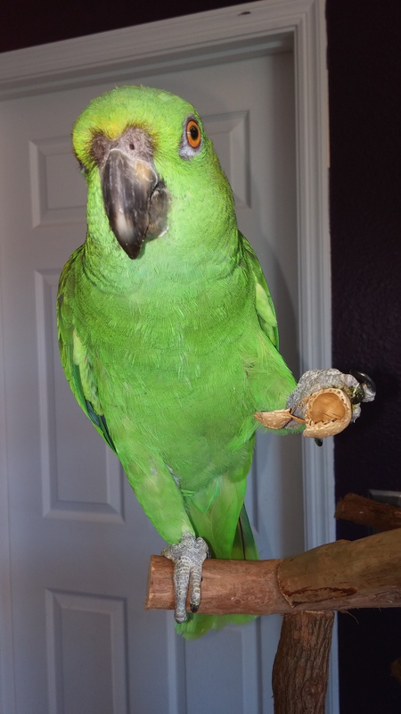 Entry image for Kizzy Reedy. Clicking this image will show a larger photo