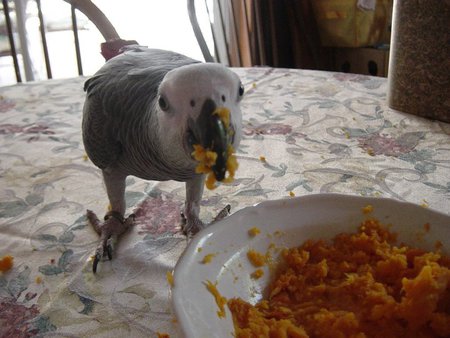 Entry image for Noah's Sweet Potatoes. Clicking this image will show a larger photo