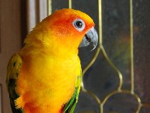 Entry image for Rita. Clicking this image will show a larger photo