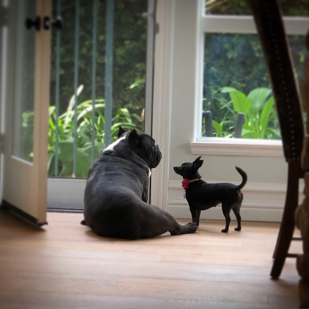 Entry image for Sparty & Maggie. Clicking this image will show a larger photo