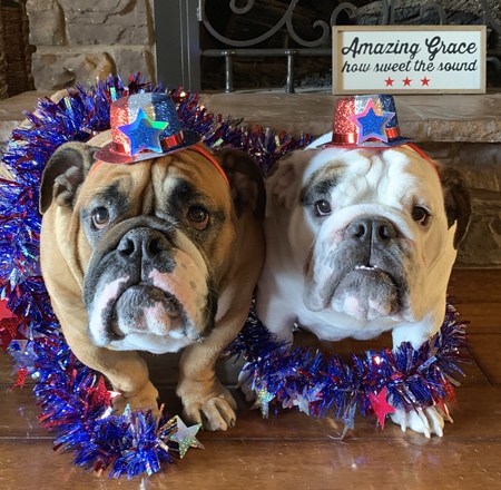 Entry image for Biggie and Bubba. Clicking this image will show a larger photo