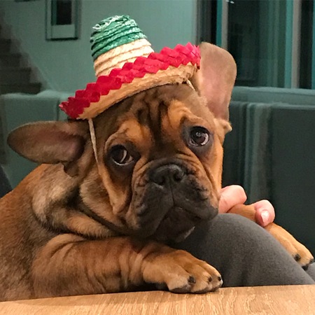 Entry image for Biggie . Clicking this image will show a larger photo