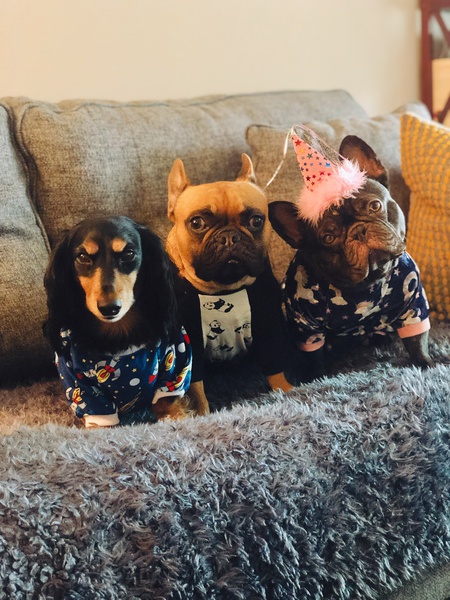 Entry image for Rambo, George & Nella. Clicking this image will show a larger photo