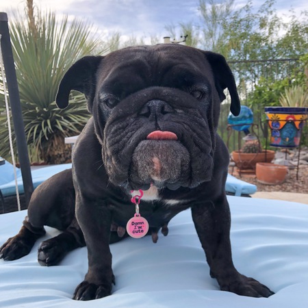 Entry image for Betty. Clicking this image will show a larger photo