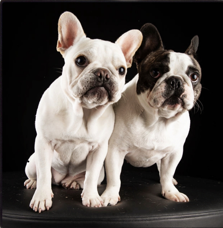 Entry image for Isabelle and Wynter Rose. Clicking this image will show a larger photo