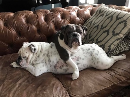 Entry image for Louis and Grace. Clicking this image will show a larger photo