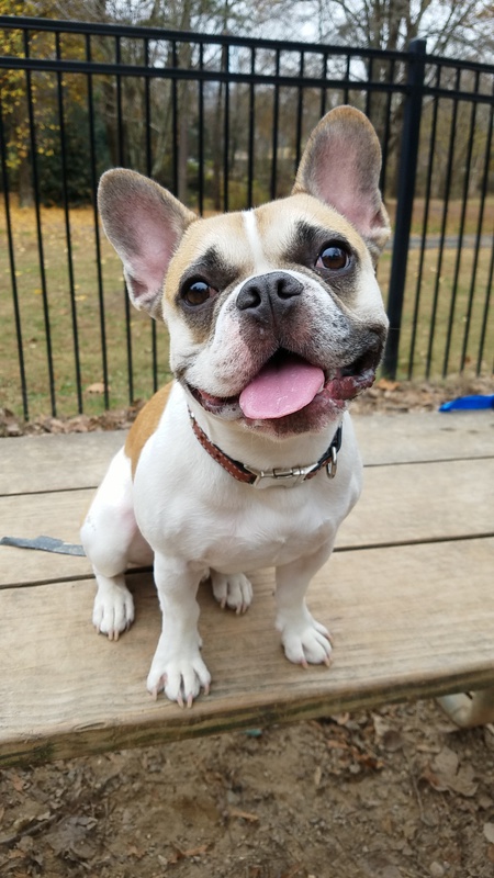 Entry image for Remi. Clicking this image will show a larger photo