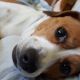 Entry image for Daisy May