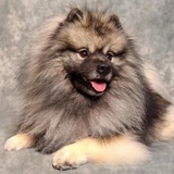 Entry image for Charlie