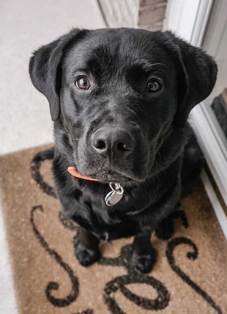 Entry image for Remington . Clicking this image will show a larger photo