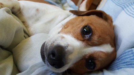 Entry image for Daisy May. Clicking this image will show a larger photo