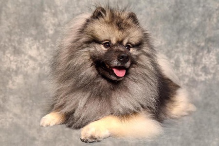 Entry image for Charlie. Clicking this image will show a larger photo