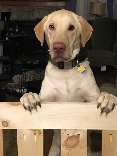 Gunnar