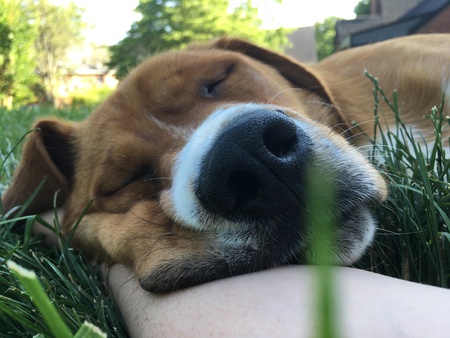 Tucker