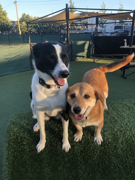 Boof and Emma