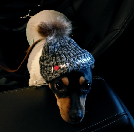 Parker 