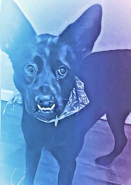 Elvira