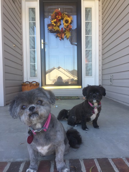 Bailey and Emma Claire