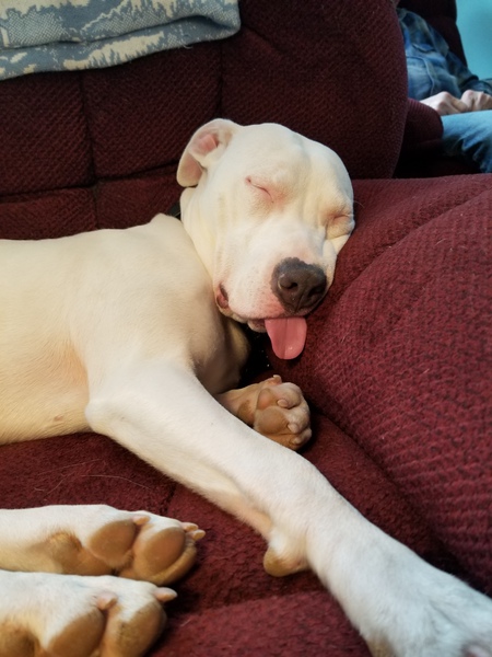 Luna