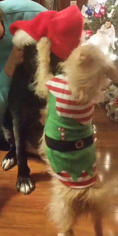 Georgia and Shadow