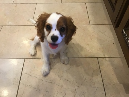 Daisy Mae