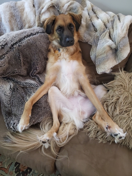 Otis 