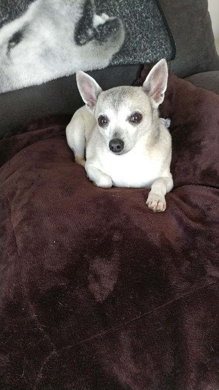 Gracie