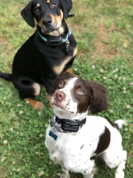 Nona & Triton