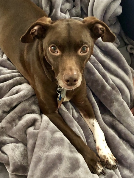 Penny