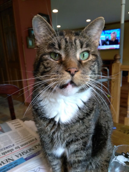Murphy