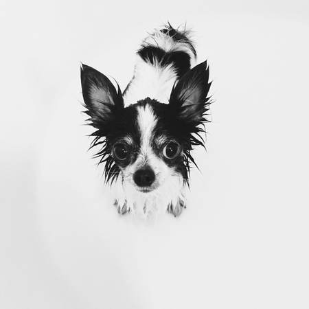 Emmylou