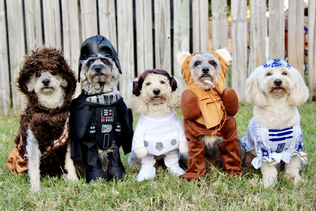 Blu, Batman, Boo Boo, Mickey, and Simba